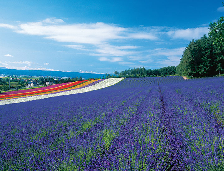 Furano