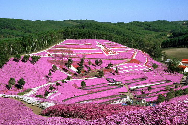 Parc Shiba-Zakur de Higashimokoto