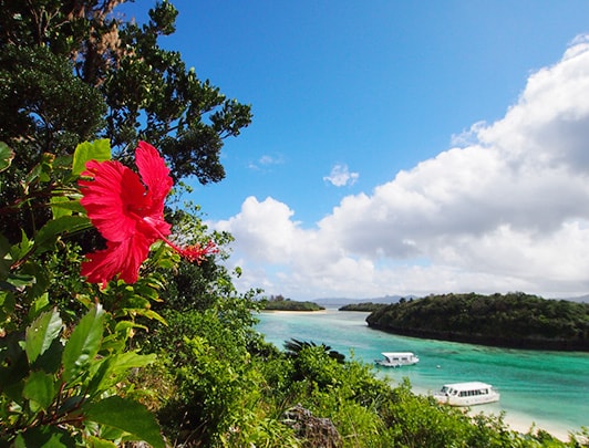 Fleurs d'été sur l'île d'Ishigaki