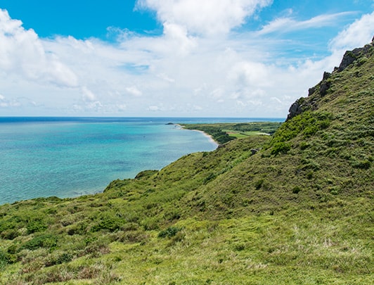 Mangrove à Ishigaki