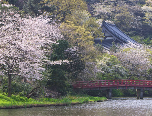 Sankei-en Garden, Kanagawa