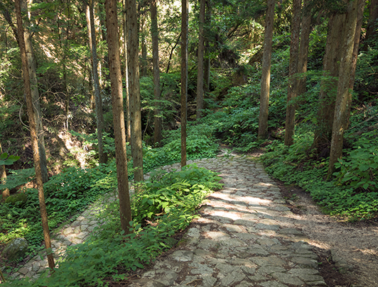 Nakasendo Road