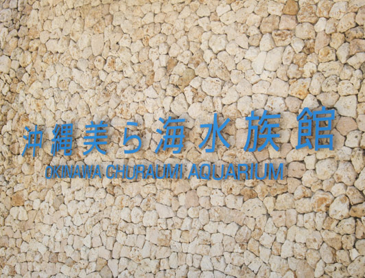 L'Aquarium Churaumi