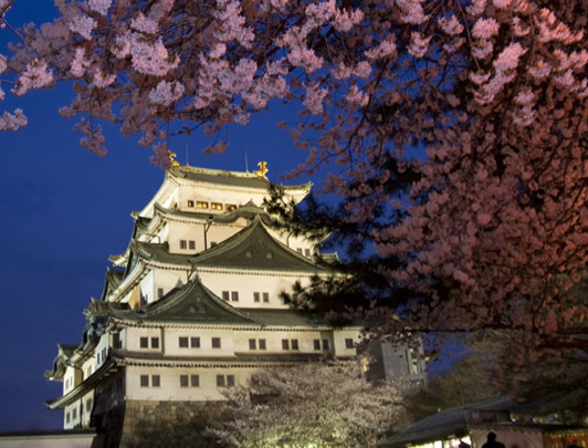 Le Château de Nagoya