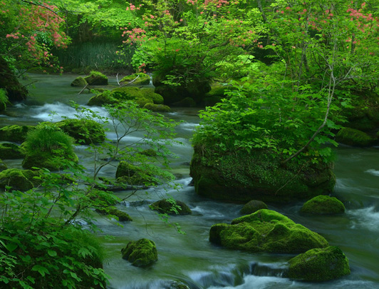 Le Ruisseau de Montagne Oirase