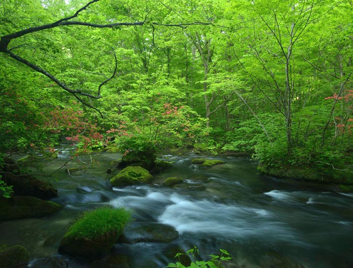 Le Ruisseau de Montagne Oirase