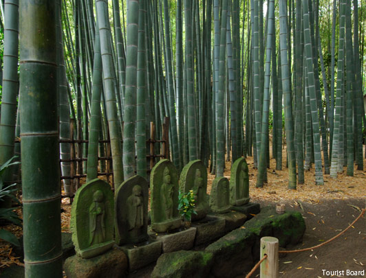 Le temple Hokokuji