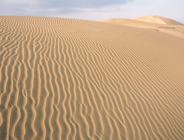 Tottori Sakyu (Dunes)