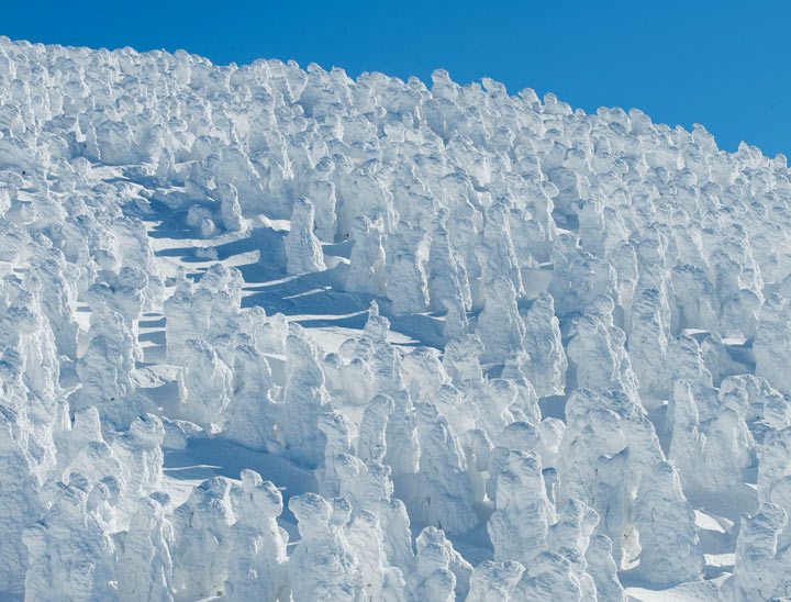 Les monstres des neiges de Zao