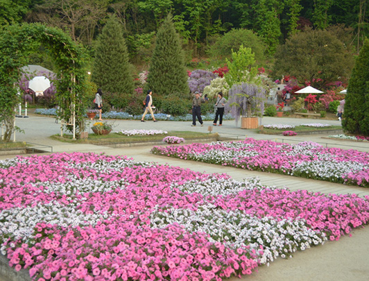 Le Parc Floral d' Ashikaga