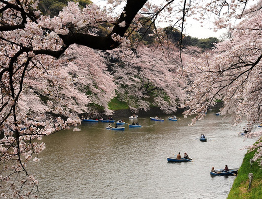 Chidorigafuchi, Tokyo