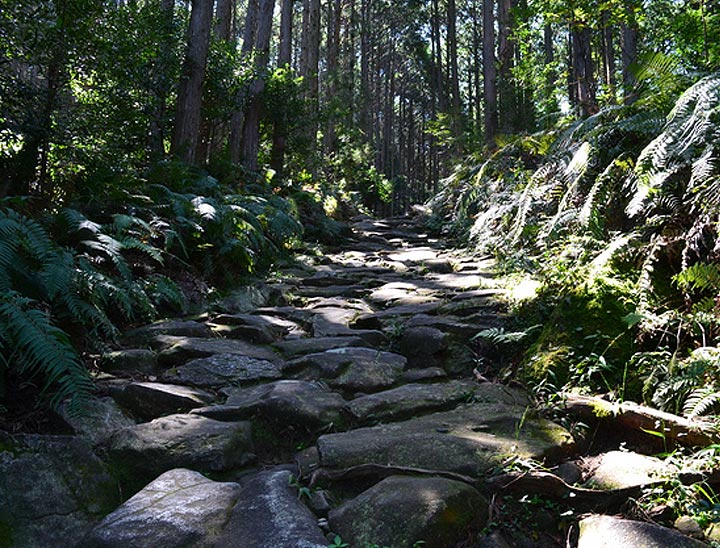 Sites Sacrés et Itinéraires de Pélerinage dans la Chaine de Montagnes Kii