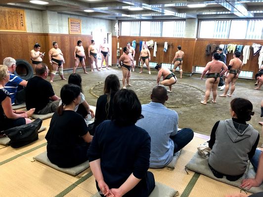 Entraînement de sumo