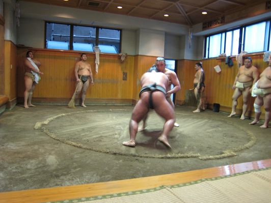 Assister à un entraînement de Sumo à Tokyo