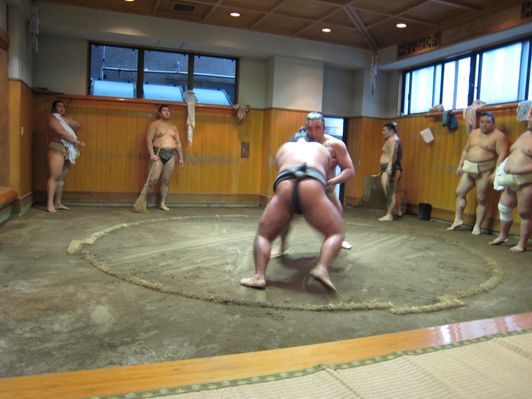 Sumo