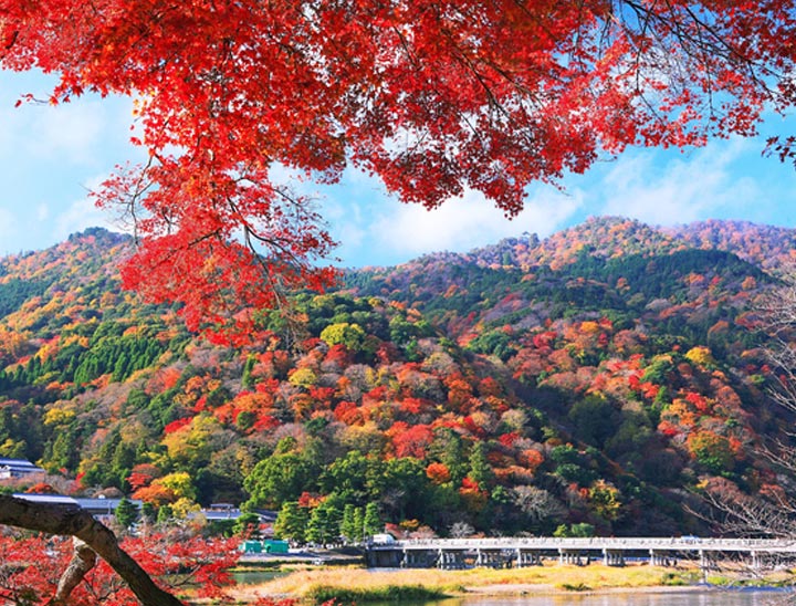 Arashiyama