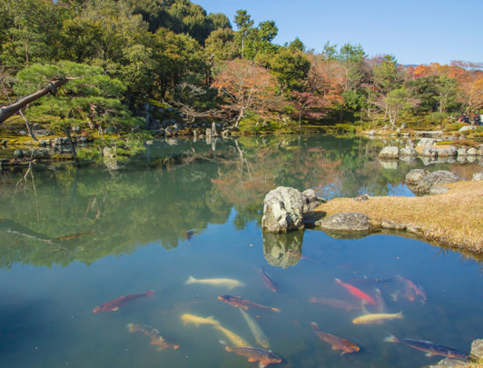 Le Temple Tenryuji