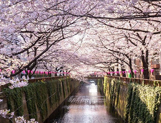 Meguro Tokyo