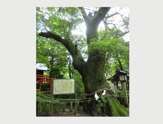 Sumiyoshi Shrine, Iki, Nagasaki