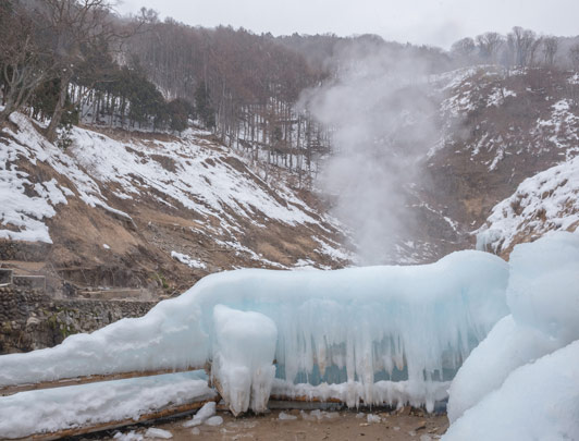 Snow Monkeys, Nagano