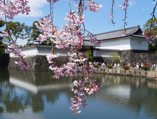 The East Gardens of Imperial Palace, Tokyo