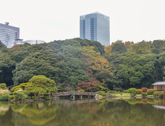 Shinjuku Gyoen