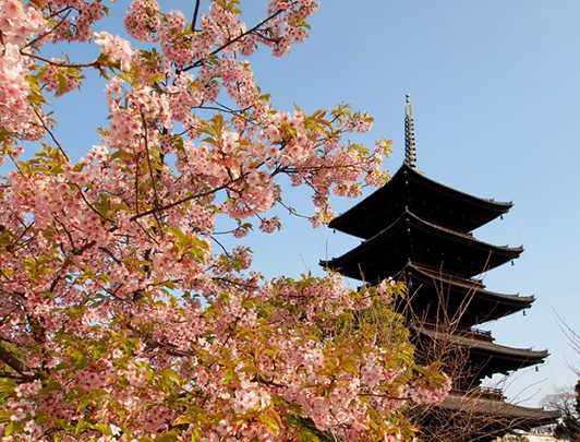 Toji, Kyoto