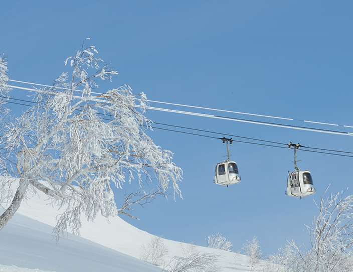 niseko_snow_10