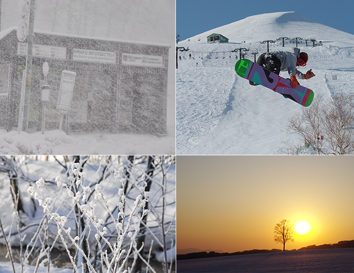 niseko_snow_7