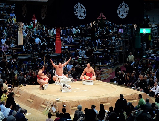 Sumo