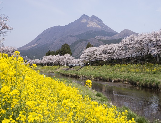 Mt Yufu, Yufuin