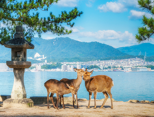 Miyajima, Hiroshima