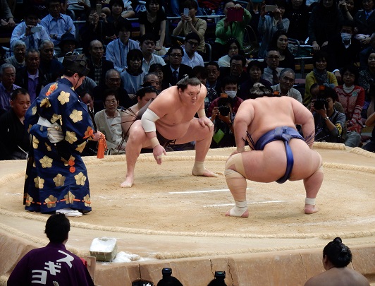 Sumo