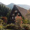 Gifu