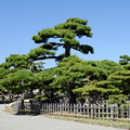Kagawa