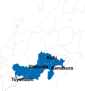 Mt Fuji-Shizuoka Area Tourist Pass Mini