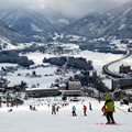 Niigata