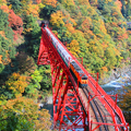 Toyama