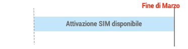 SIM card expiry date
