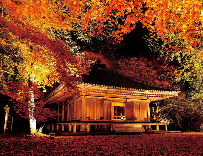 Autumn Lighting Up Events at Rokugo Manzan: 12 Nov - 3 Dec 2016