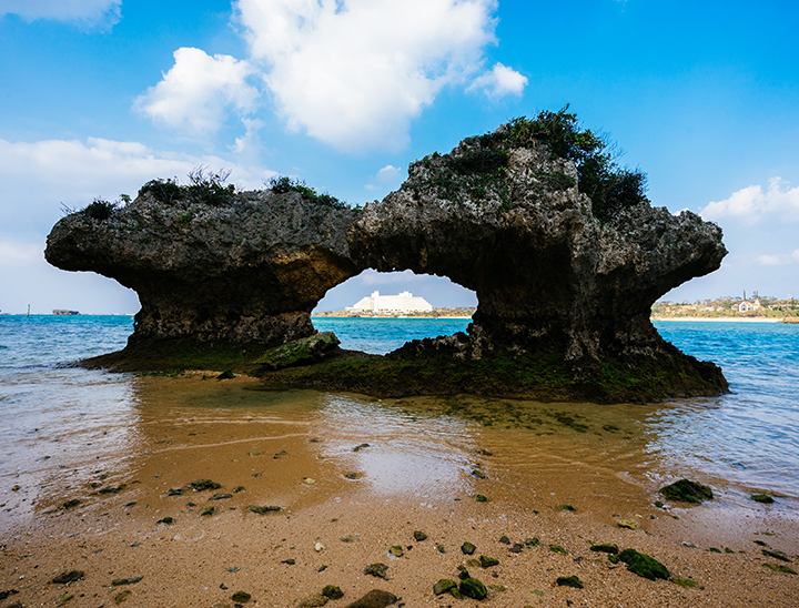 Exotic Okinawa
