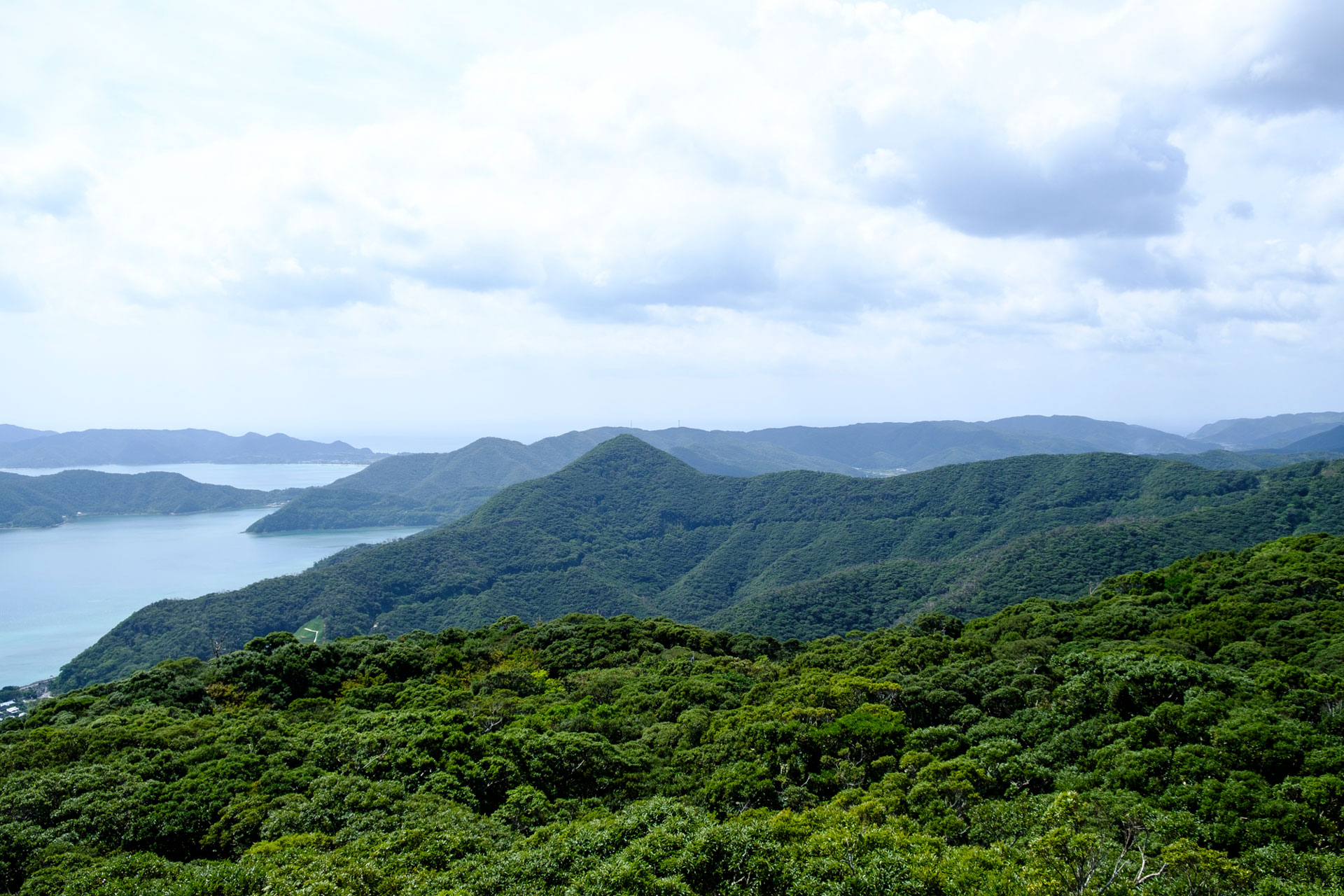 Premier voyage au Japon - Amami, Yakushima, Kyushu