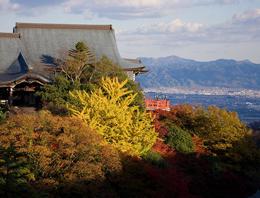 Shigisqn-Hondo-en-mi-novembre