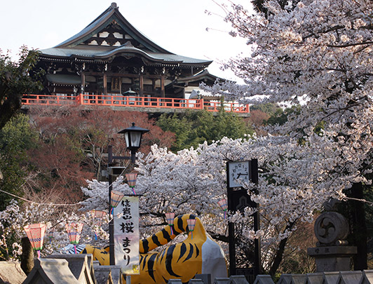 Mont Shigi, Nara