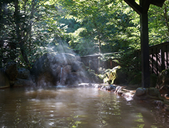 Hirayu-onsen
