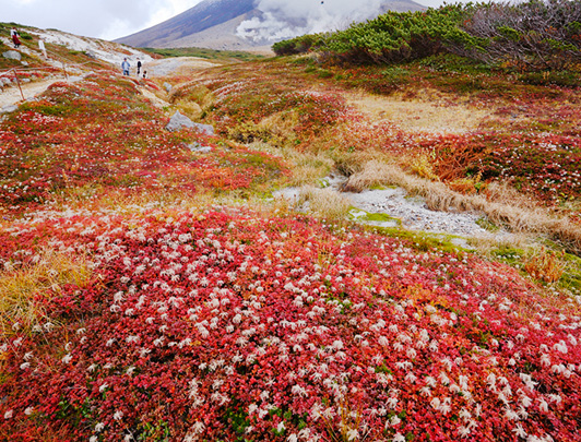 Asahidake, Hokkaido