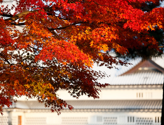 Kanazawa Castle Park