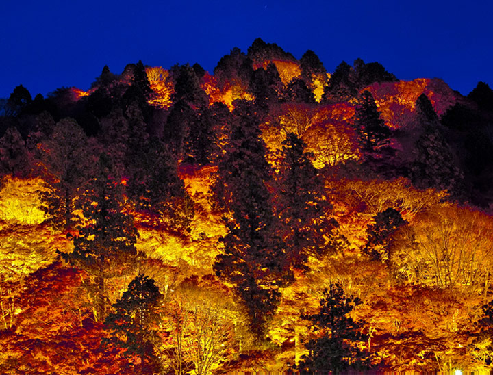 Koyo Kawana