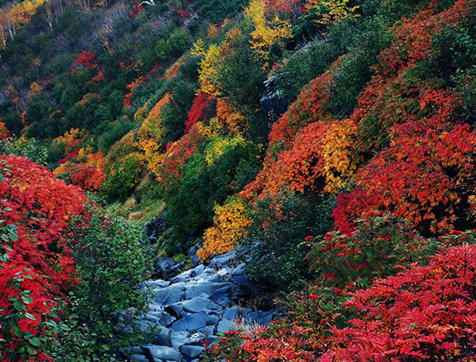Mt. Ontake, Gifu/Nagano