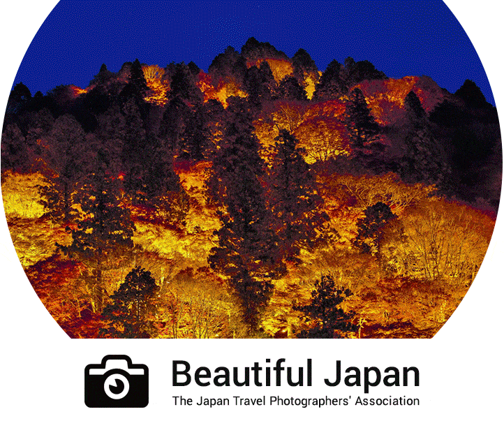 travelphotos_animation_gif-min